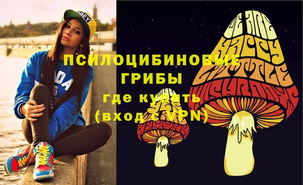 стаф Зерноград