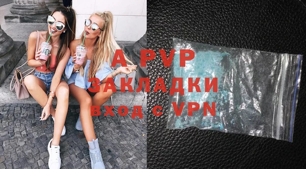 стаф Зерноград