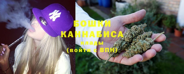 гидра Зеленодольск
