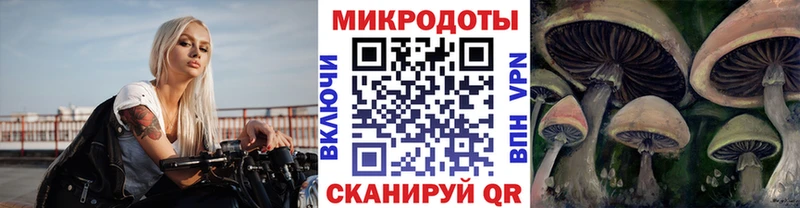 Псилоцибиновые грибы Psilocybe  Купить  Нововоронеж 